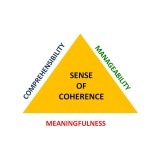 Are Three Items Sufficient to Measure Sense of Coherence?  Evidence From Nonclinical and Clinical Samples