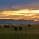 UN “VIAGGIO” NELLO SCIAMANESIMO MONGOLO